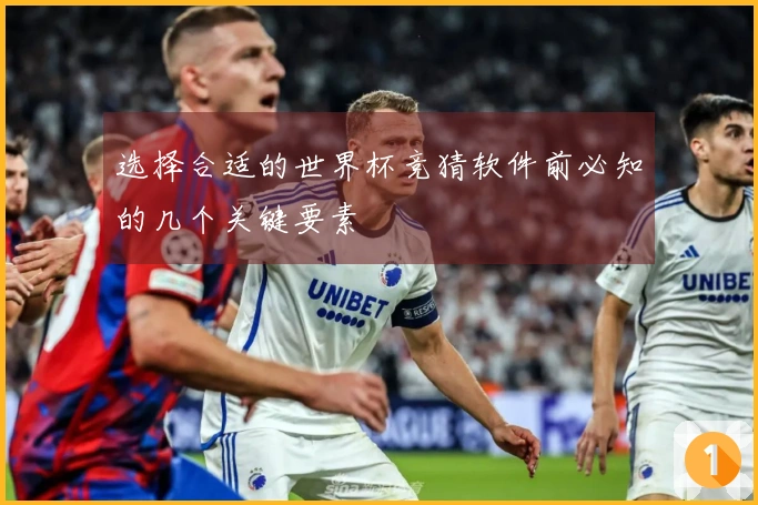 选择合适的世界杯竞猜软件前必知的几个关键要素