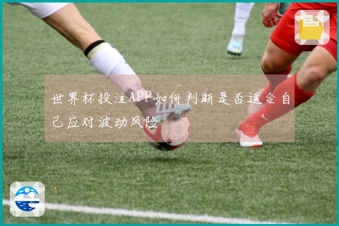 世界杯投注APP如何判断是否适合自己应对波动风险