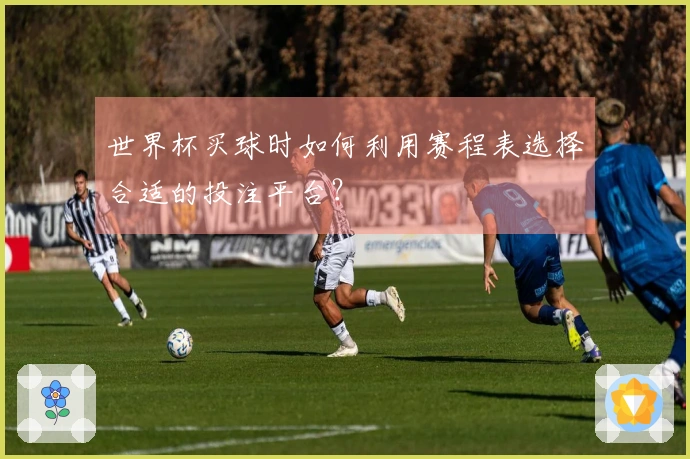 世界杯买球时如何利用赛程表选择合适的投注平台？
