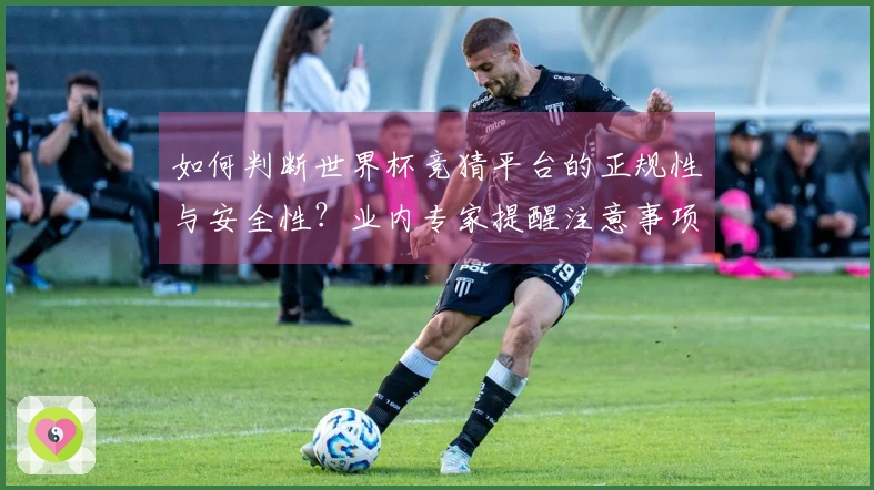 如何判断世界杯竞猜平台的正规性与安全性?业内专家提醒注意事项有哪些?